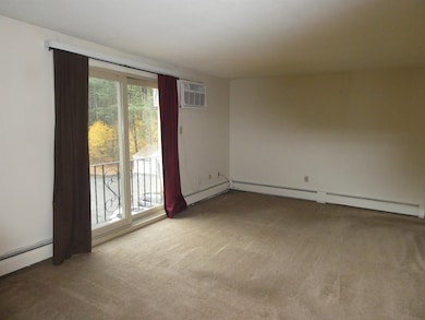 Oversized Living Room with Natural Light
