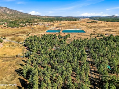 25319 US Hwy 191, Alpine, AZ 85920 - photo 7