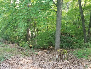 2267 W Lake Shore Dr, Bitely, MI 49309 - photo 6