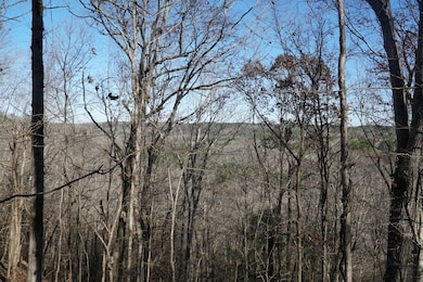 0 Alabama 187, Hodges, AL 35571 - photo 6