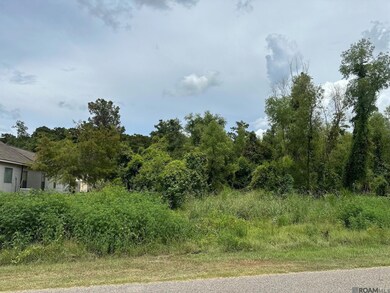 15898 Cypress Point Ln, French Settlement, LA 70733 - photo 5