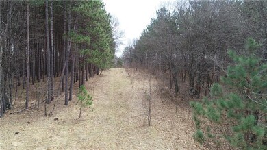 0 Red Pine Trail unit 1528617, Union, WI 54830 - photo 3