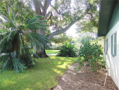 Side yard
