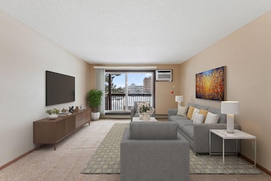 14630 Garrett Ave unit 506, Saint Paul, MN 55124 - photo 4