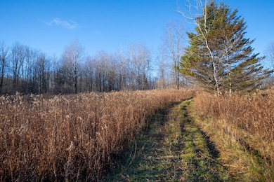 0 Clark Rd Lot 6, Masonville, NY 13839 - photo 2