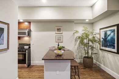 21 Worcester St unit 2, Boston, MA 02118 - photo 5