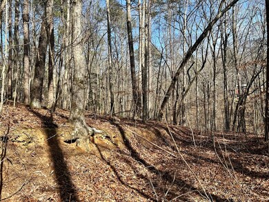 0 Berean Church Rd unit 402415, Ellijay, GA 30540 - photo 4