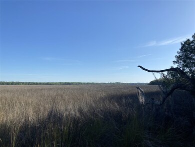 191 Bluebill Trail, Brunswick, GA 31523 - photo 2