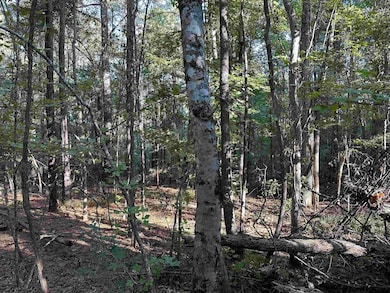 TBD County Road 1707, Jacksonville, TX 75766 - photo 2