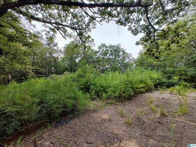 160 Circle Dr NE unit 18 & 19, Pell City, AL 35128 - photo 5