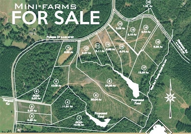 Lot 10 - 18 Pickens Dr, Pendleton, SC 29670 - photo 4