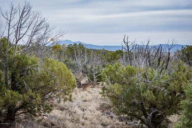 _DSC6752