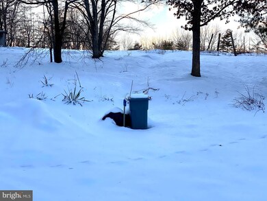 191 Honeysuckle Ln, Berkeley Springs, WV 25411 - photo 2