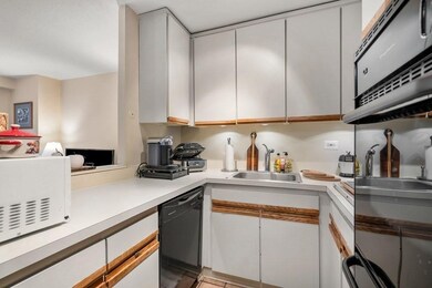 Tremont on the Common unit 6C, Boston, MA 02111 - photo 3