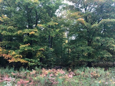 Lots 2/3 Strong Rd, Argonne, WI 54511 - photo 3