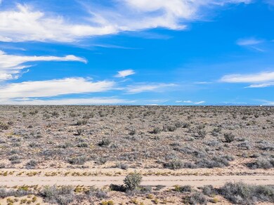 0 5th Ave SW unit 1094580, Albuquerque, NM 87124 - photo 6