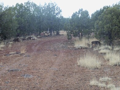 1641 N Eastview, Ash Fork, AZ 86320 - photo 4
