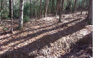 Additional View