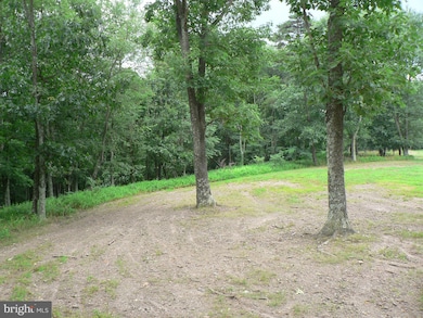 10 Top of the Mountain, Moorefield, WV 26836 - photo 6