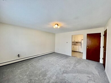 15 Clinton St unit 5, Waltham, MA 02453 - photo 5