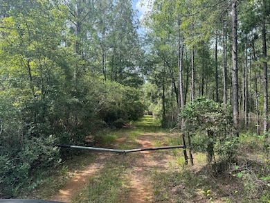 0 Nokomis Rd unit 21694228, Walnut Hill, FL 32568 - photo 4