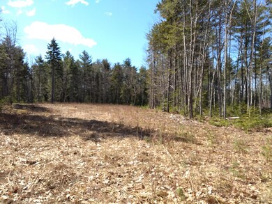 Lot 4 - 5