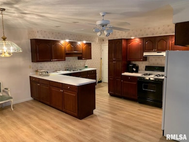 622 Westwinds Dr, Jacksonville, IL 62650 - photo 4