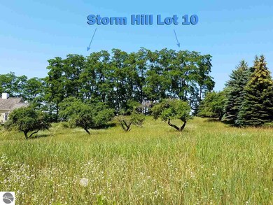 Trees in picture are on Lot 10 and can be opened u
