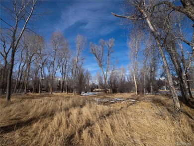 0 Tee Rd, Buena Vista, CO 81211 - photo 5