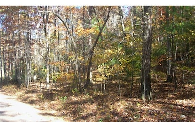 LOT 3 Peter Knob Rd, Blue Ridge, GA 30513 - photo 3