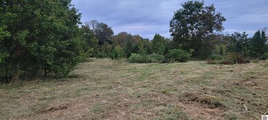 313 Michael Rd, Melber, KY 42069 - photo 6