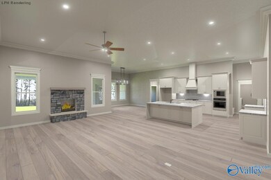 Alexandria-B Newby Chapel Rd, Athens, AL 35613 - photo 6