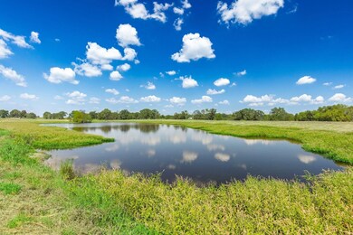 0 N State Highway 19 Hwy unit 25025298, Sulphur Springs, TX 75482 - photo 7