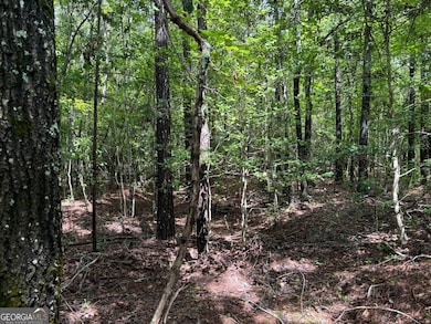 0 Chappell Mill Rd unit 10576810, Milner, GA 30257 - photo 4