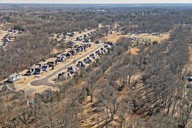 0 Hampton Meadow Ln unit 10188771, Bartlett, TN 38002 - photo 2