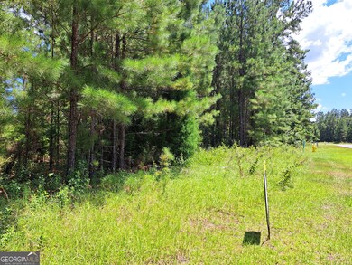 0 Shoreline Dr unit 10570833, Kingsland, GA 31548 - photo 4