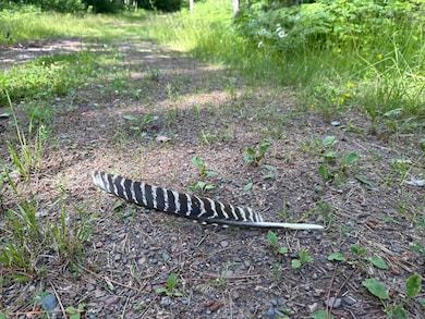 TBD (Option C) Maple Grove Rd, Cloquet, MN 55720 - photo 7