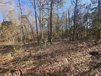 152 County Road 4247, Pittsburg, TX 75686 - photo 6