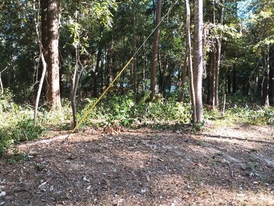 0 Wickford and Little John unit 86445316, Ivanhoe, TX 75447 - photo 6