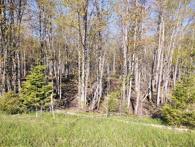 IMG_20230515_092717937