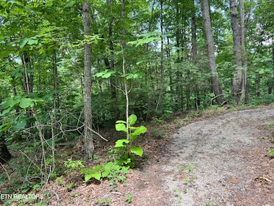 0 E Loomis Rd, Jamestown, TN 38556 - photo 4