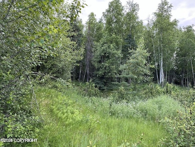 20240705150525346538000000-o