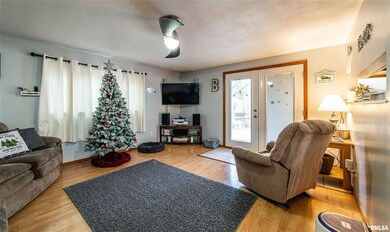 210 Rhoads Ave, Lincoln, IL 62656 - photo 6