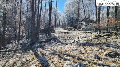 partially cleared