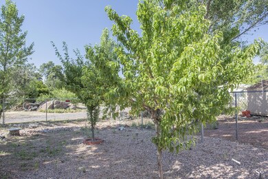 Fruit Trees
