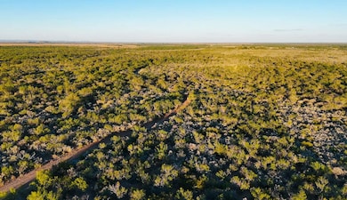 2640 Garner Field Rd, Uvalde, TX 78801 - photo 2