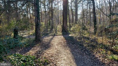 0 Dockser Dr unit MDSM168042, Mechanicsville, MD 20659 - photo 4