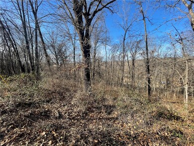 1 Winsford Ln, Bella Vista, AR 72714 - photo 6