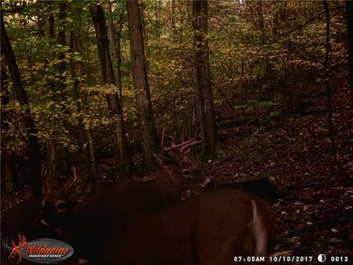 Nice horns!