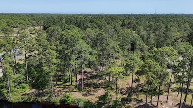 340 Jay Way, Carrabelle, FL 32322 - photo 2